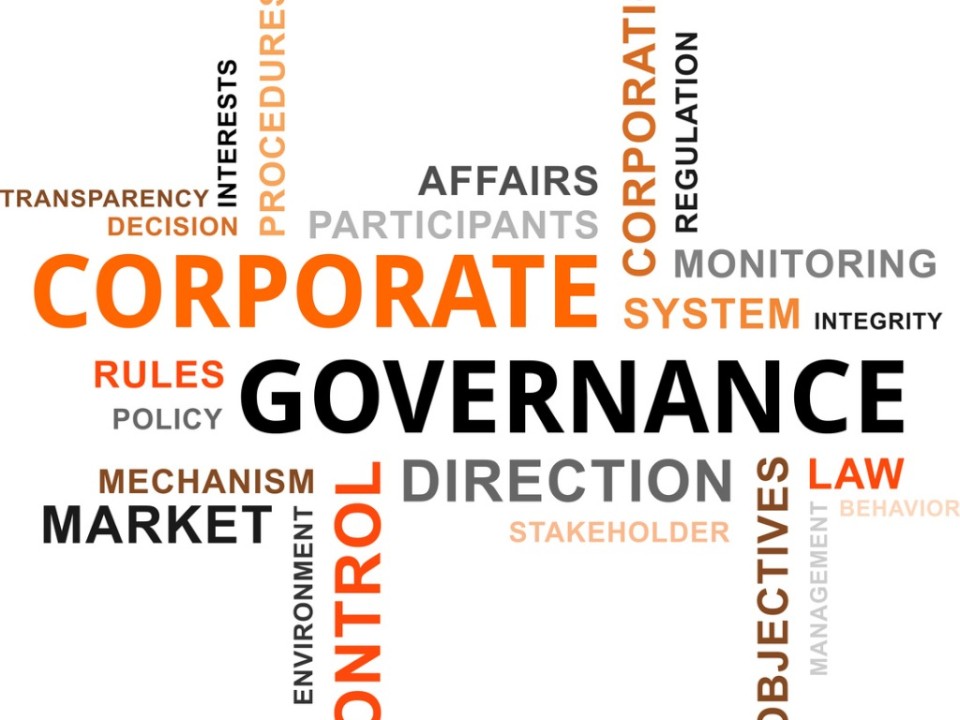 Building a Resilient Business:Strategic Corporate Governance